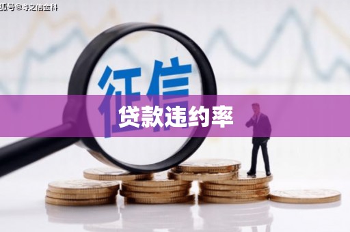 阳西贷款违约率