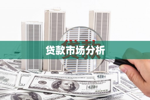 康保贷款市场分析