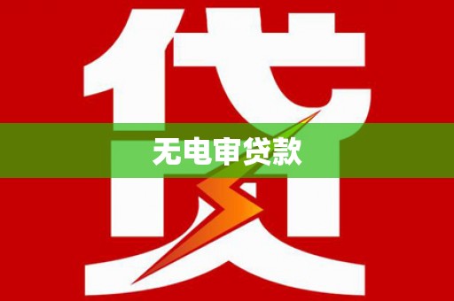 天元无电审贷款