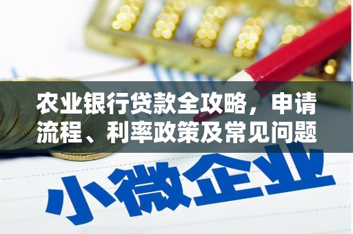 武进农业银行贷款全攻略，申请流程、利率政策及常见问题解析