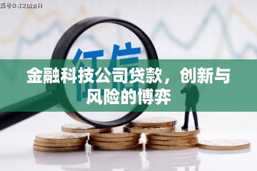 四子王旗金融科技公司贷款，创新与风险的博弈