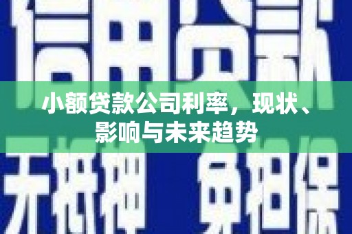 山上小额贷款公司利率，现状、影响与未来趋势