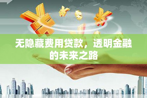 巨野无隐藏费用贷款，透明金融的未来之路