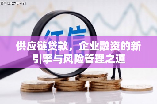 泗阳供应链贷款，企业融资的新引擎与风险管理之道