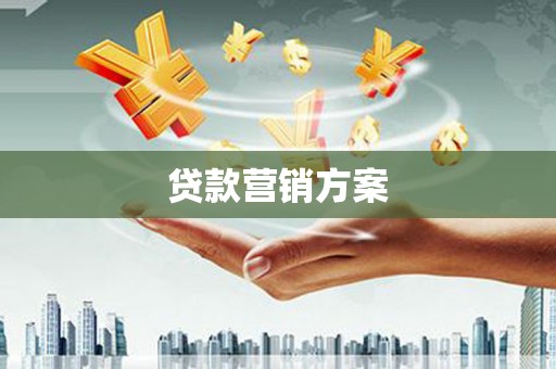 扶绥贷款营销方案