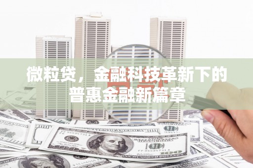 青河微粒贷，金融科技革新下的普惠金融新篇章