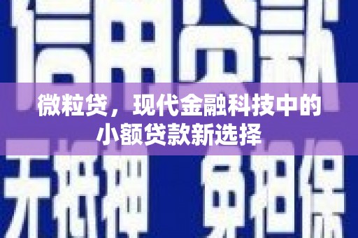 吴川微粒贷，现代金融科技中的小额贷款新选择