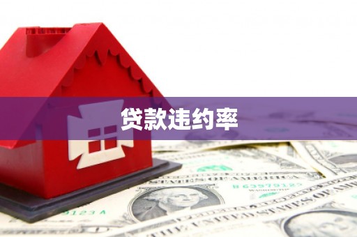 徐水贷款违约率