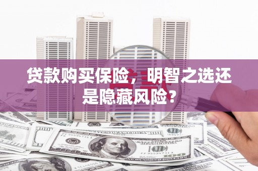 盐埕贷款购买保险，明智之选还是隐藏风险？
