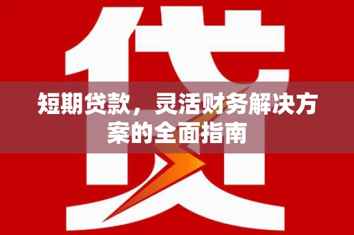 盐田短期贷款，灵活财务解决方案的全面指南
