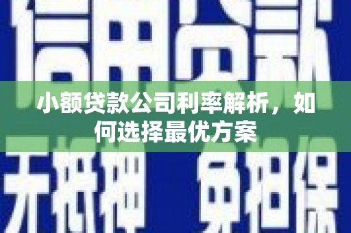 大名小额贷款公司利率解析，如何选择最优方案
