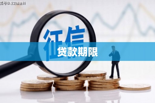 桃江贷款期限