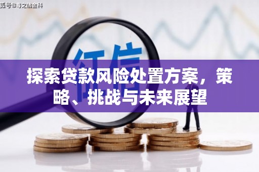 岑巩探索贷款风险处置方案，策略、挑战与未来展望