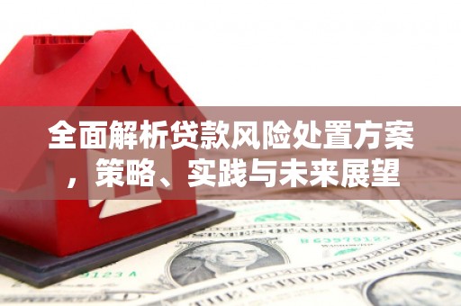 盐湖全面解析贷款风险处置方案，策略、实践与未来展望
