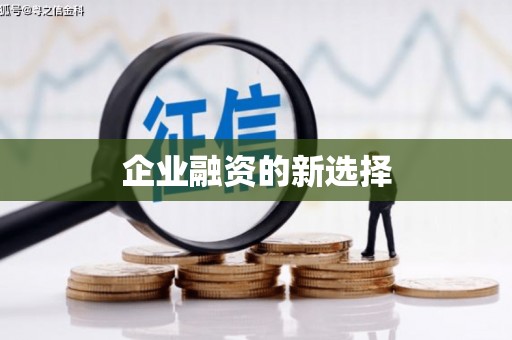 曲麻莱企业融资的新选择