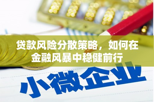 万荣贷款风险分散策略，如何在金融风暴中稳健前行