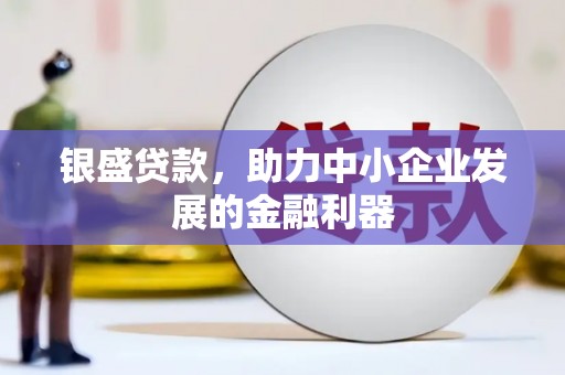 芦淞银盛贷款，助力中小企业发展的金融利器