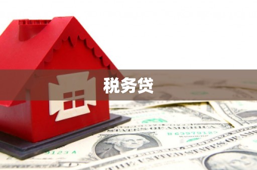 祁县税务贷
