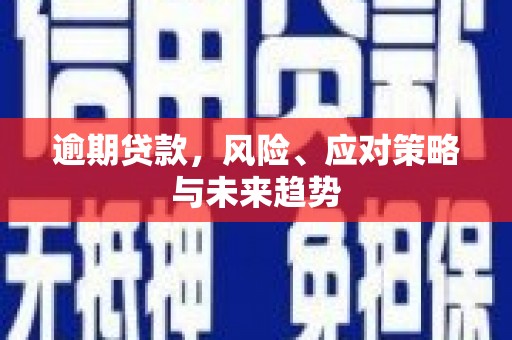 武川逾期贷款，风险、应对策略与未来趋势