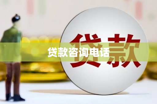 新园贷款咨询电话