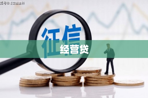 延平经营贷