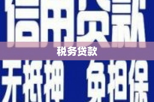 恒春税务贷款