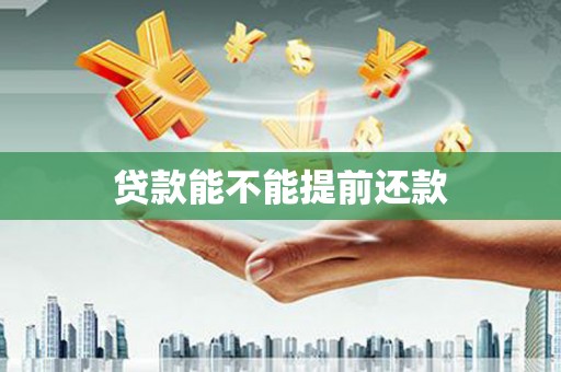 兴和贷款能不能提前还款