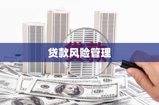 西林贷款风险管理