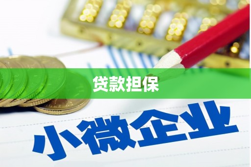 大朗贷款担保