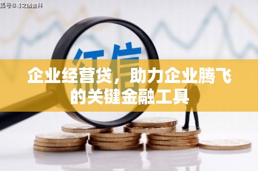 淮上企业经营贷，助力企业腾飞的关键金融工具
