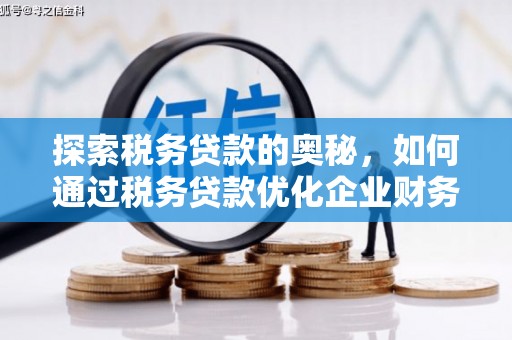 中国香港探索税务贷款的奥秘，如何通过税务贷款优化企业财务