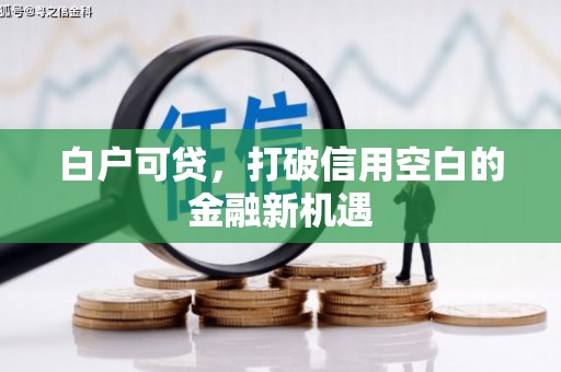 双江白户可贷，打破信用空白的金融新机遇