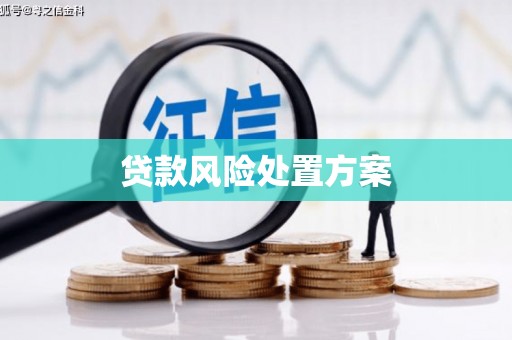 阜阳贷款风险处置方案