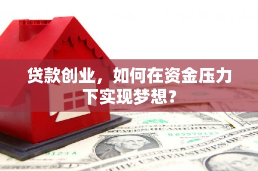 工布江达贷款创业，如何在资金压力下实现梦想？