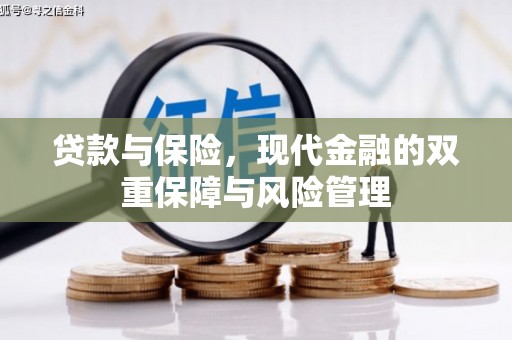 隆子贷款与保险，现代金融的双重保障与风险管理