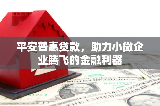 望奎平安普惠贷款，助力小微企业腾飞的金融利器