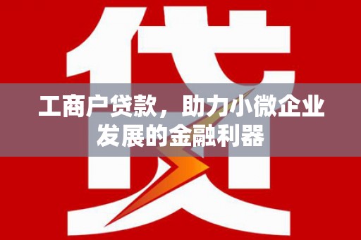 观音工商户贷款，助力小微企业发展的金融利器