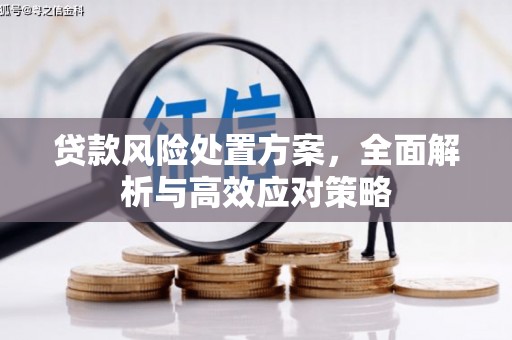 嘉荫贷款风险处置方案，全面解析与高效应对策略