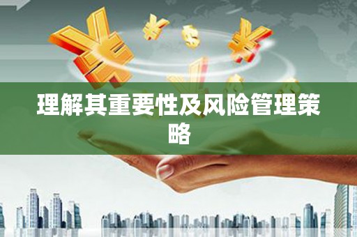 莱西理解其重要性及风险管理策略
