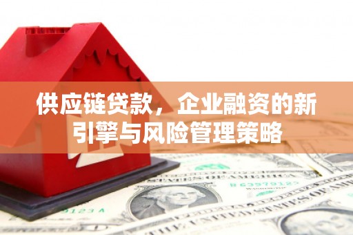 墨竹工卡供应链贷款，企业融资的新引擎与风险管理策略