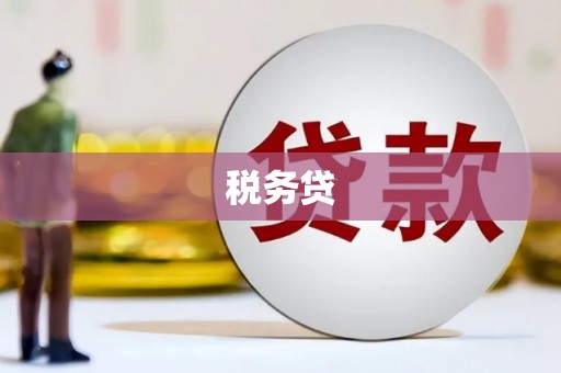 枣阳税务贷
