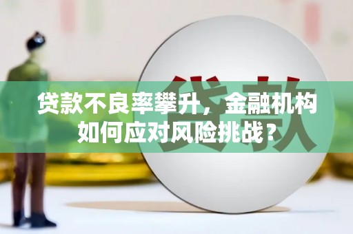 勉县贷款不良率攀升，金融机构如何应对风险挑战？
