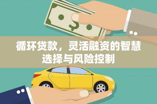 驻马店循环贷款，灵活融资的智慧选择与风险控制