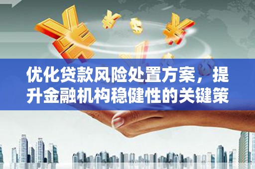 颍泉优化贷款风险处置方案，提升金融机构稳健性的关键策略
