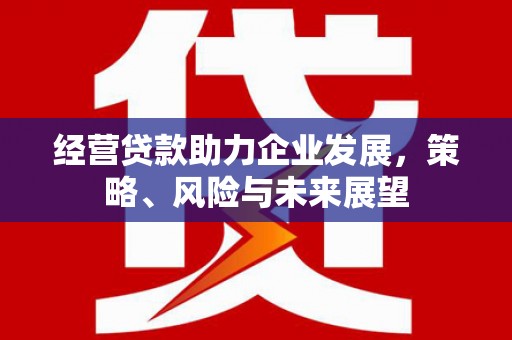 青羊经营贷款助力企业发展，策略、风险与未来展望