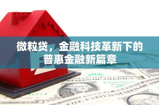 青浦微粒贷，金融科技革新下的普惠金融新篇章