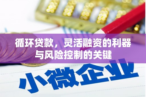 员山循环贷款，灵活融资的利器与风险控制的关键