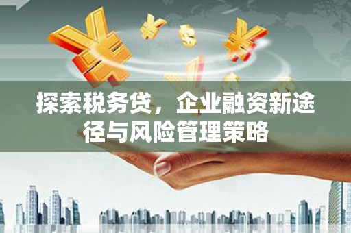 刚察探索税务贷，企业融资新途径与风险管理策略