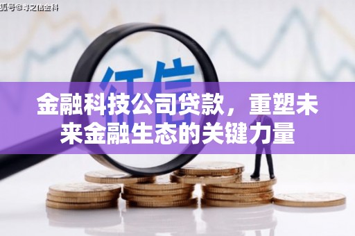 太康金融科技公司贷款，重塑未来金融生态的关键力量