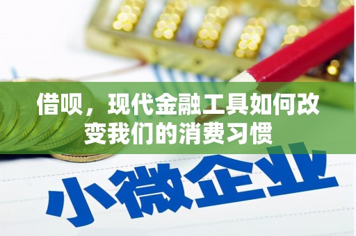 雅安借呗，现代金融工具如何改变我们的消费习惯